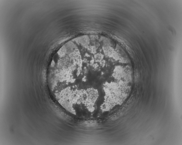 X0000112520353200909281021