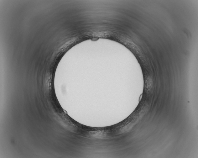 X0000112520356200909281021