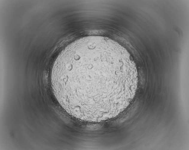 X0000112520357200909281021