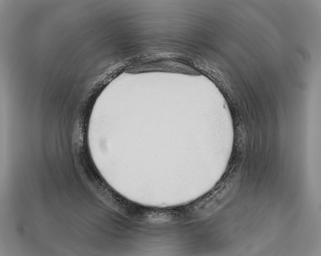 X0000112520358200909281021
