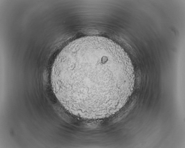 X0000112520359200909281021