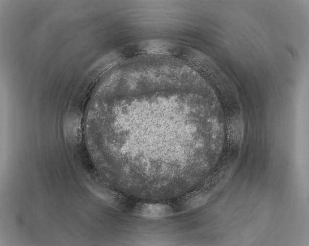 X0000112520360200909281021