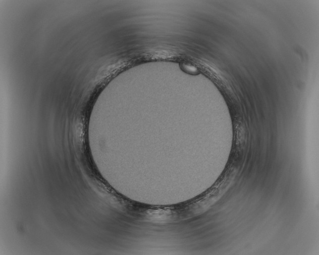 X0000112520362200909281021
