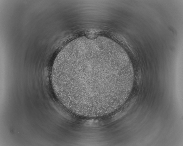 X0000112520366200909281021