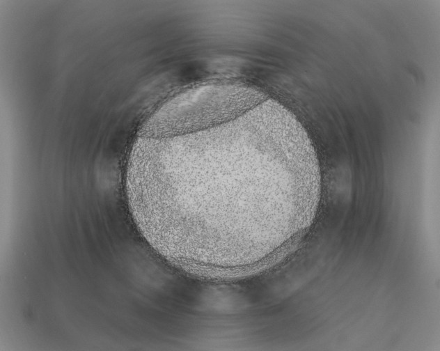 X0000112520372200909281022