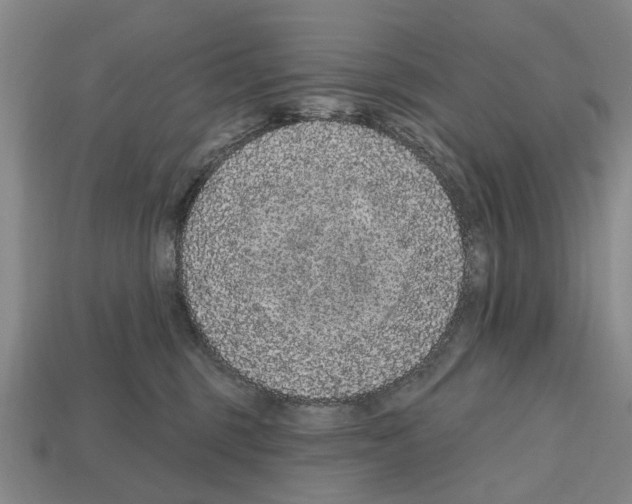 X0000112520375200909281022