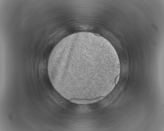 X0000112520376200909281022