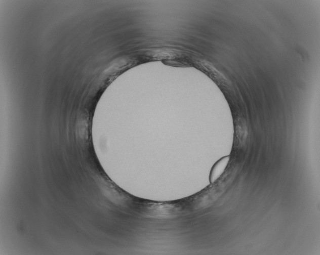 X0000112520379200909281022
