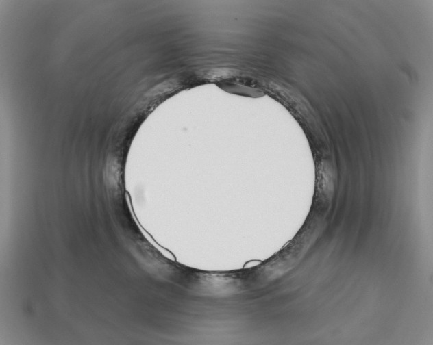 X0000112520380200909281022