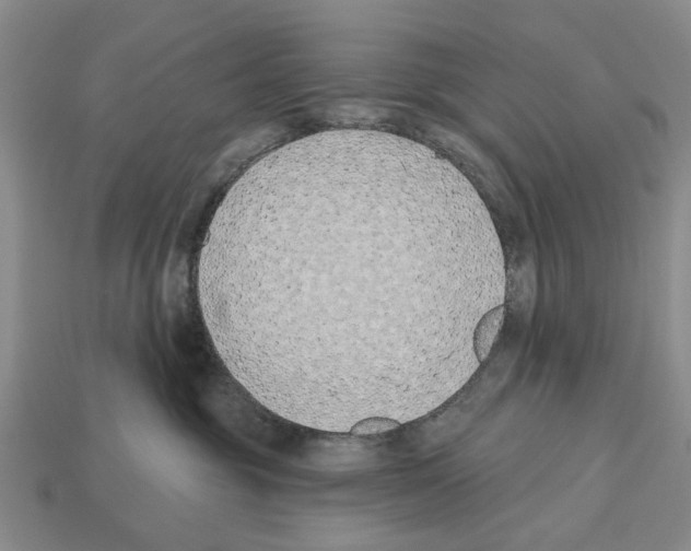 X0000112520381200909281022