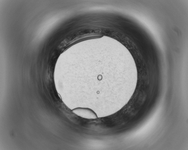 X0000112520382200909281022