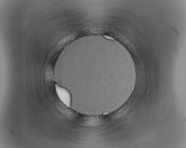 X0000112520384200909281022