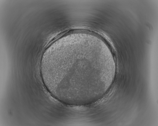 X0000112520385200909281021