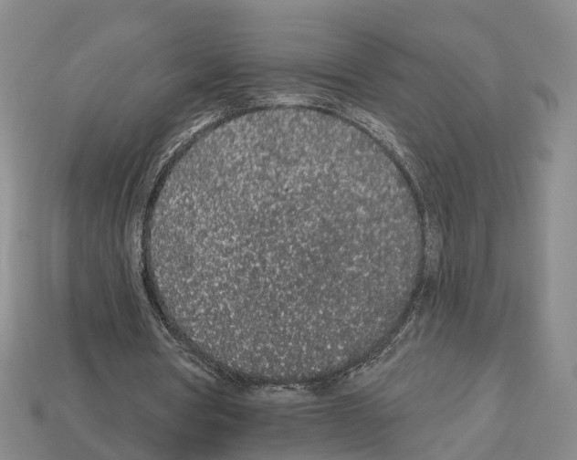 X0000112520386200909281021