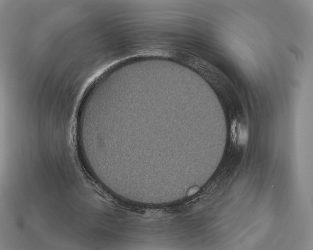X0000112520388200909281021