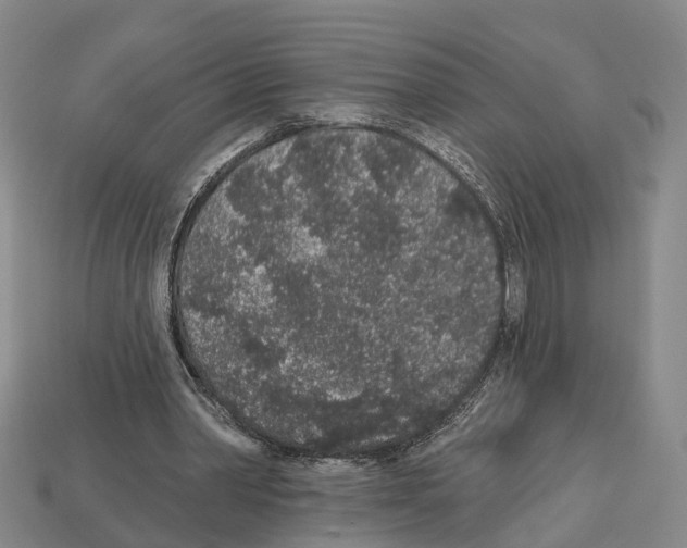 X0000112520390200909281021