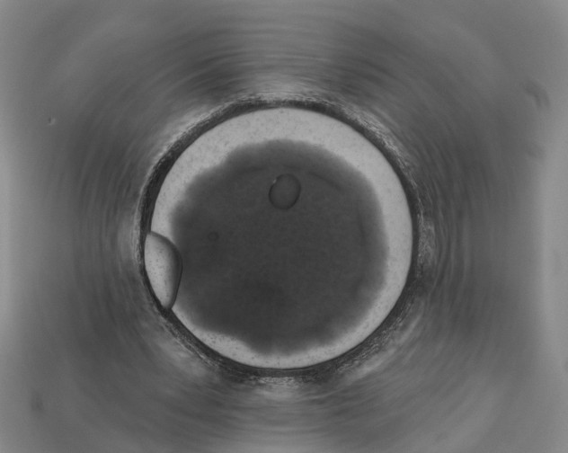 X0000112520391200909281021