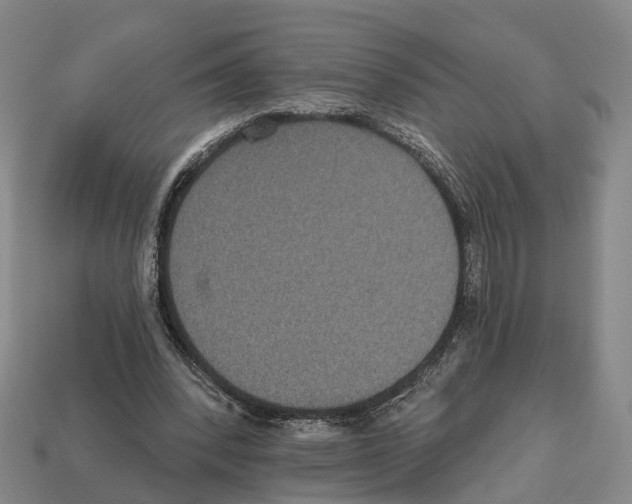 X0000112520392200909281021