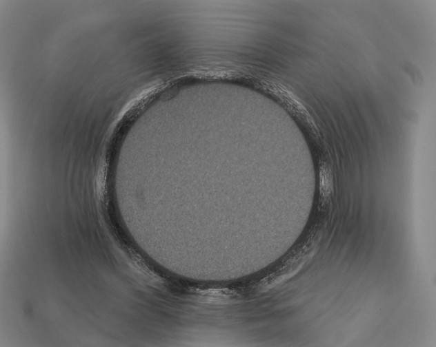 X0000112520396200909281021