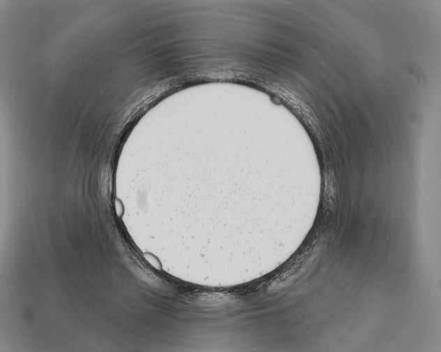 X0000112520397200909281021