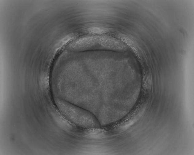 X0000112520399200909281021