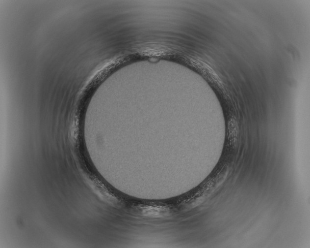 X0000112520400200909281021