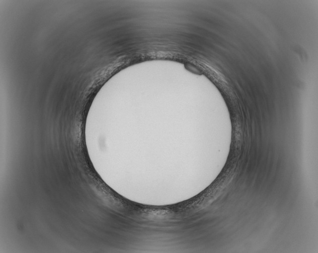 X0000112520401200909281021