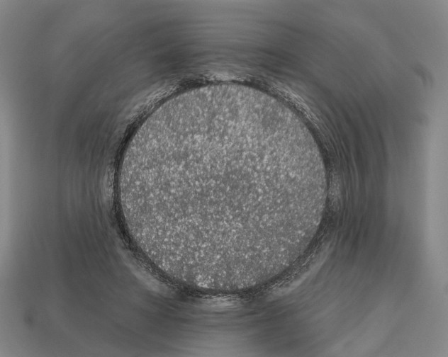 X0000112520402200909281021