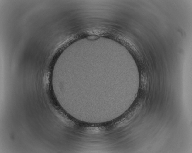 X0000112520404200909281021