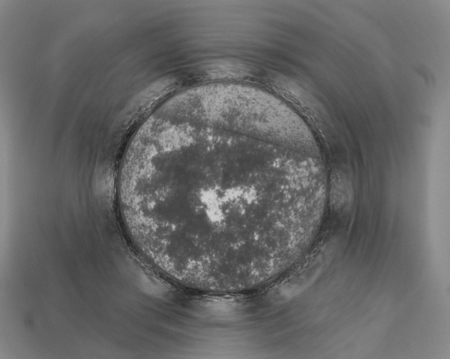 X0000112520405200909281021