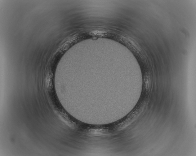 X0000112520408200909281021