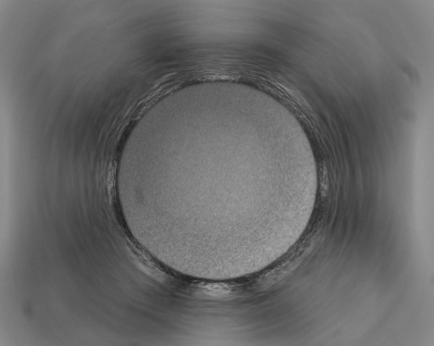 X0000112520409200909281021