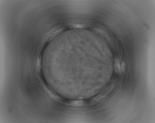 X0000112520410200909281021