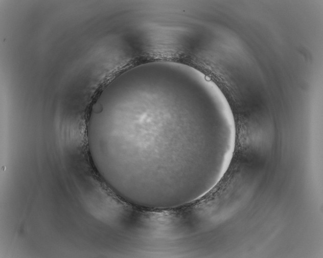 X0000112520411200909281021
