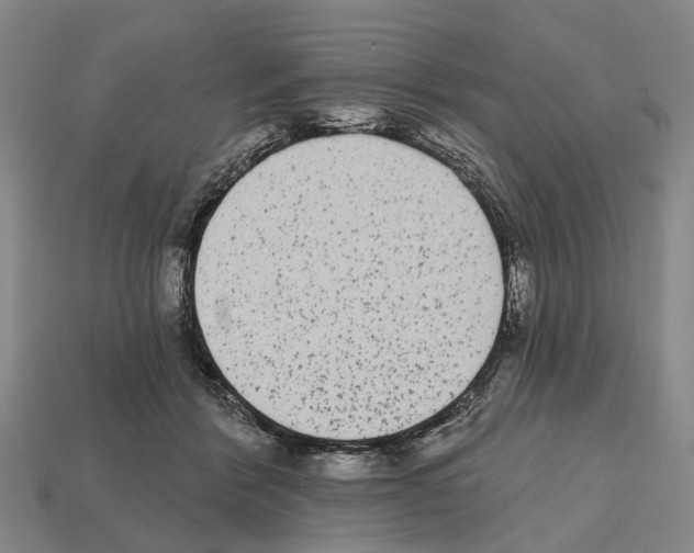 X0000112520412200909281021