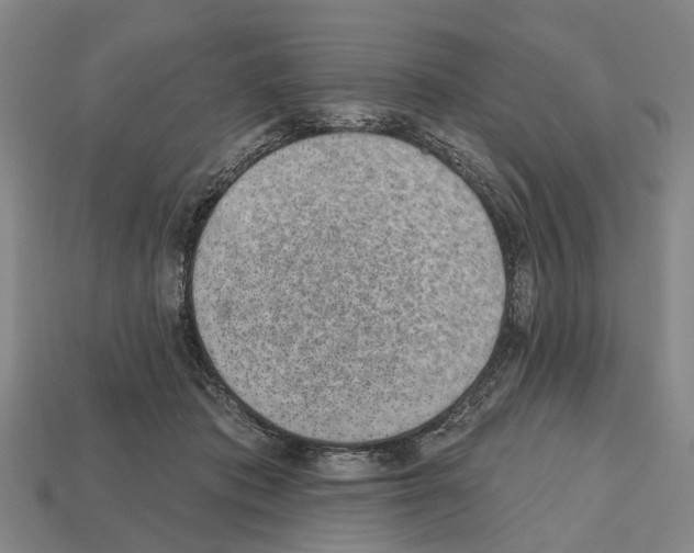 X0000112520413200909281021