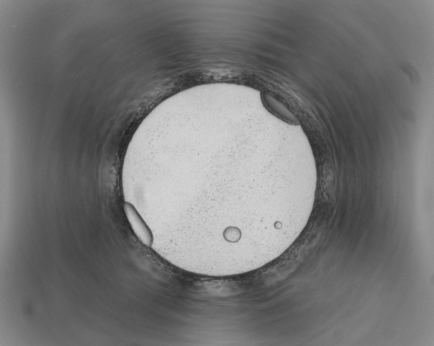 X0000112520417200909281020