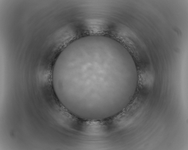 X0000112520419200909281020