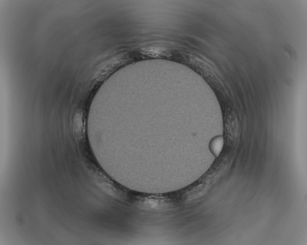 X0000112520420200909281020