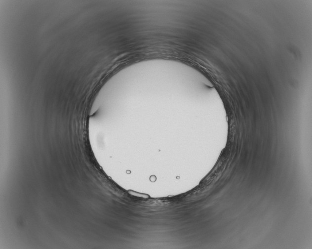 X0000112520421200909281020