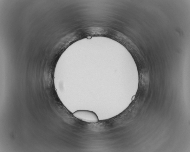 X0000112520422200909281020