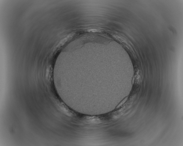 X0000112520424200909281020