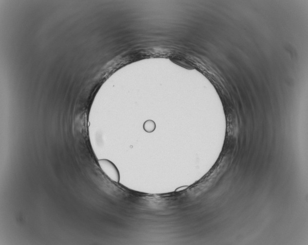 X0000112520425200909281020