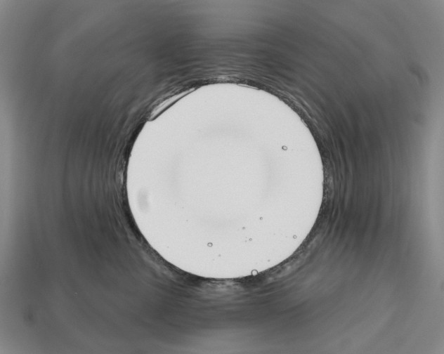 X0000112520427200909281020