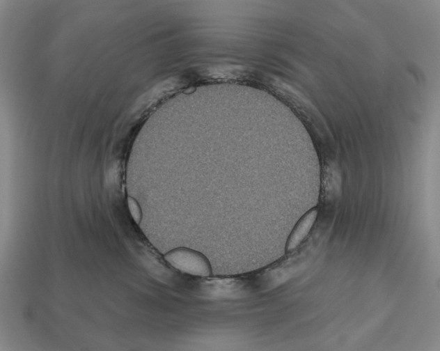 X0000112520428200909281020