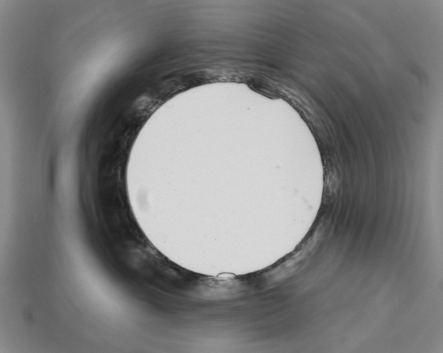 X0000112520429200909281020
