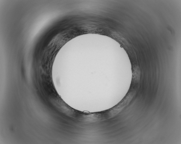 X0000112520430200909281020
