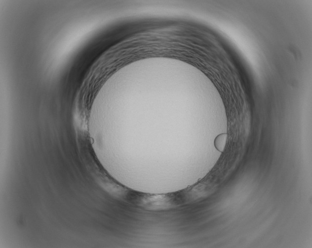 X0000112520431200909281020
