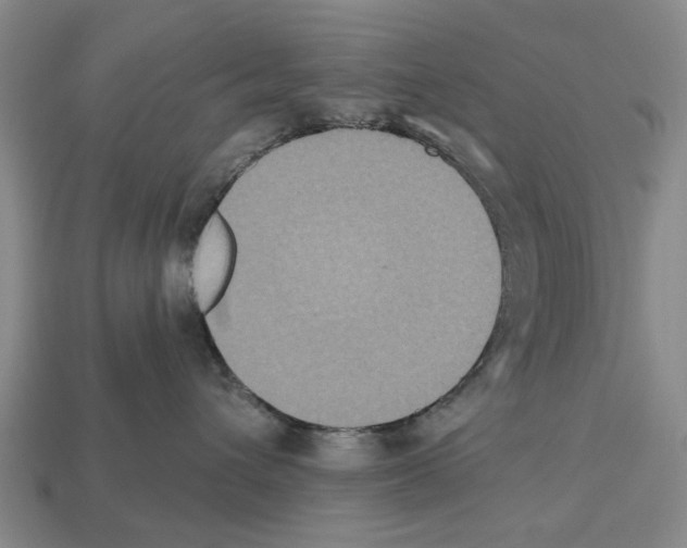 X0000112520432200909281020