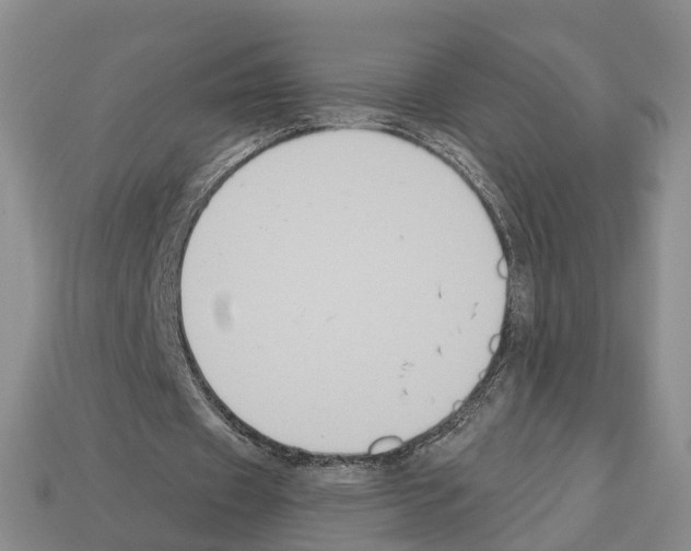 X0000112520433200909281020
